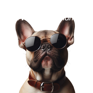 Frenchie's mum