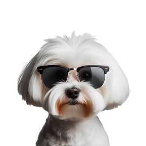 Maltese's mum